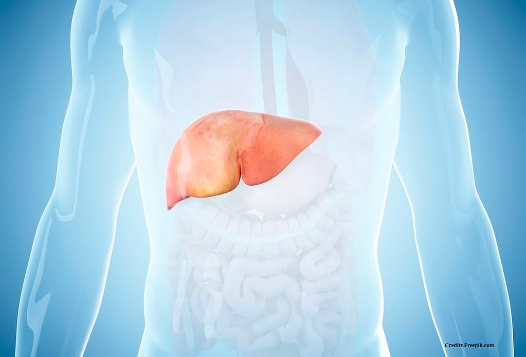 Factors that may increase your risk of liver disease