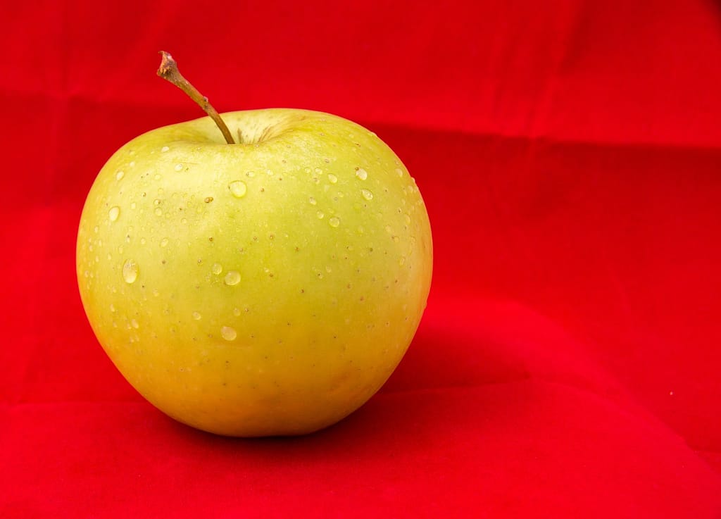 apple, the fruit, health-1816489.jpg