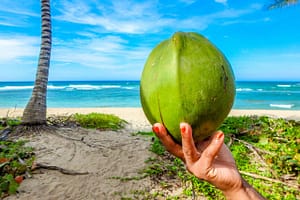 Uses and benefits of coconut water for skin
