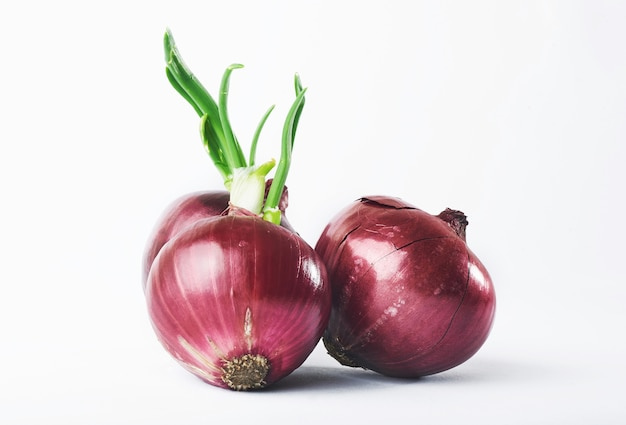 red-onion-whole-isolated-white_146671-19174