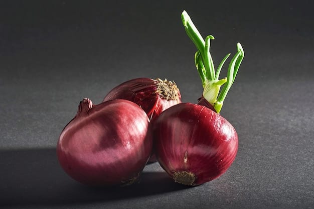 red-onions-whole-isolated-black_146671-19180